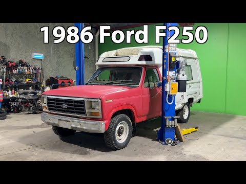 I actually own an Ambulance.