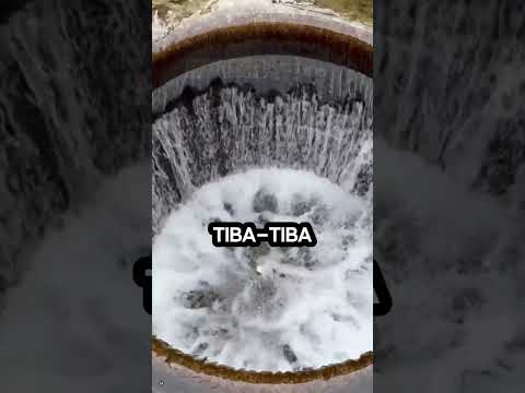 Penduduk kota ini selamat berkat hewan #kisahnyata #haicheng