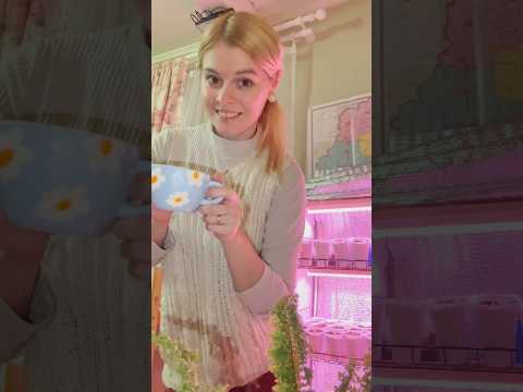 милая моя☀️