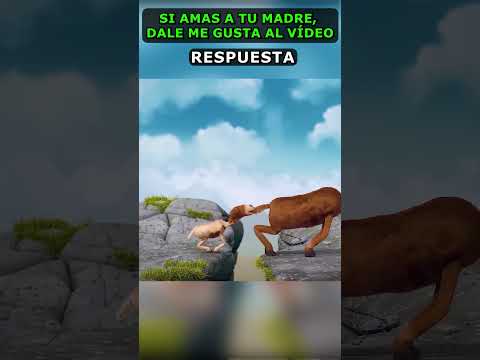 La cabrita devolvió el valor