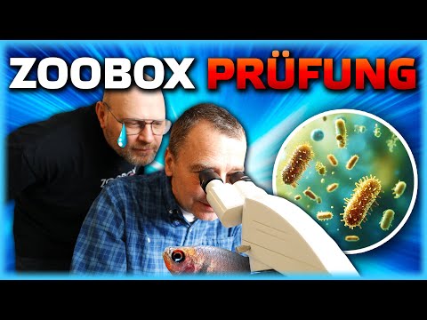 Tierarzt-Check bei ZOOBOX
