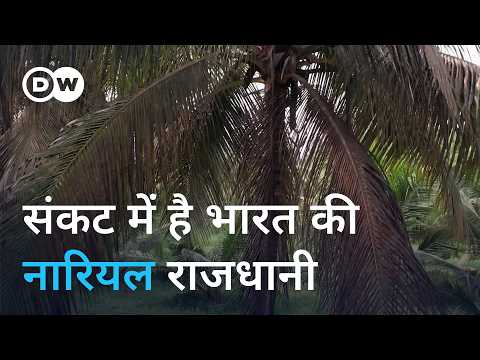 भारत की नारियल राजधानी जलवायु संकट के घेरे में [India’s coconut capital seeks solutions]