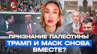 Признание Палестины, Зеленский и выборы