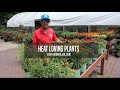 Gardening Plant Selection and Care