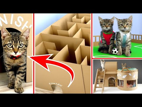 TOP #CAT IDEAS - Cute Pets