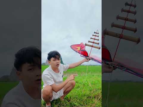 Thả Diều Cánh Cốc Gió Bão Bị Gẫy Cánh