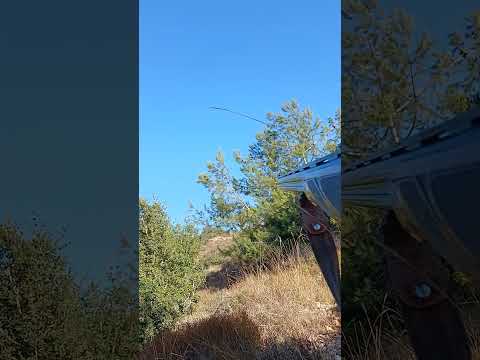 صيد ورور 👍👍