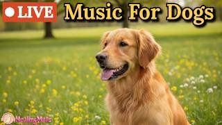 🔴24 Hours of Dog Music🎵🐶Soothing Music for Dogs🐶Eases Separation Anxiety 🦮Sleep Music for Dog