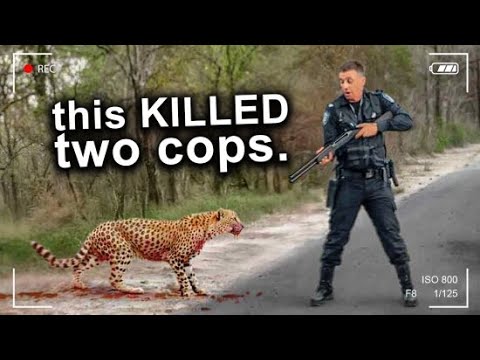 When Cops FACE Dangerous Animals