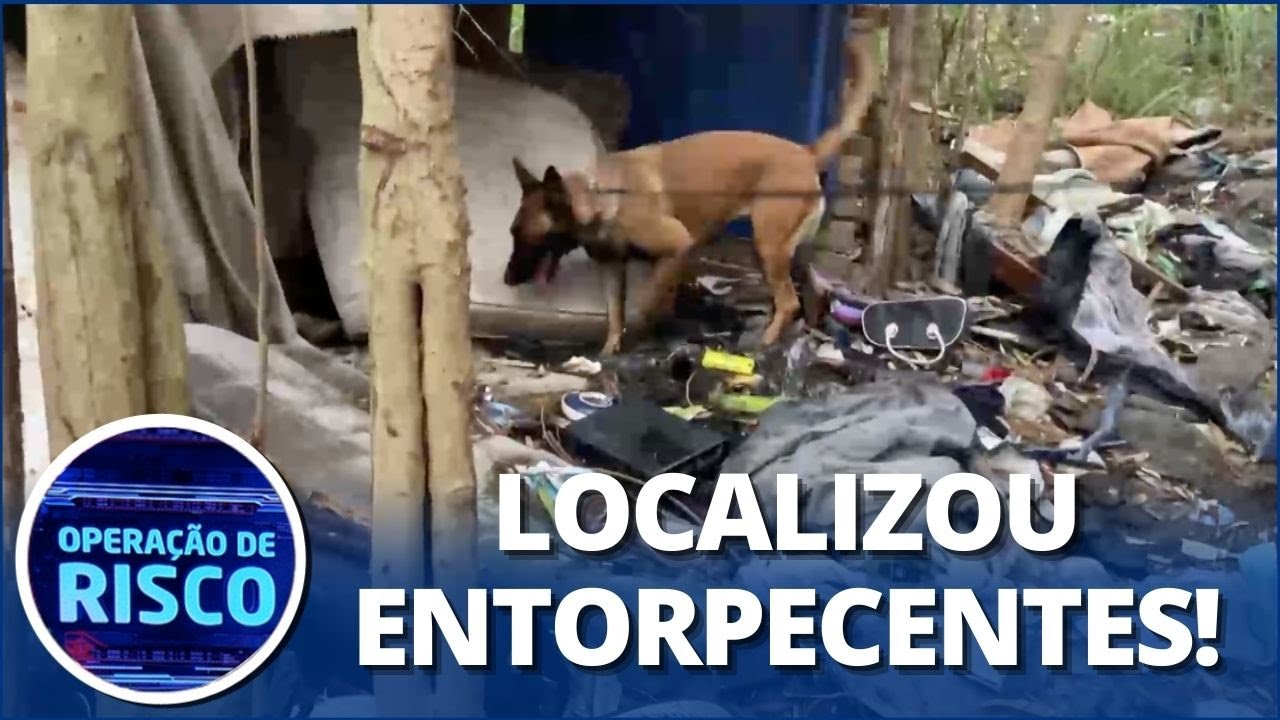 Cão policial caça drogas em rota de fuga de olheiros