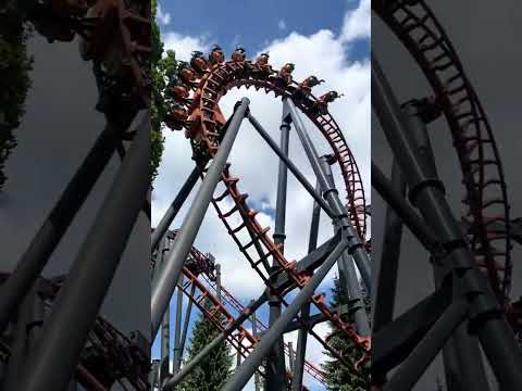 Walibi BE ma vie ! ❤️ #coasterenthusiast #rollercoaster #walibibelgium #themepark #attraction