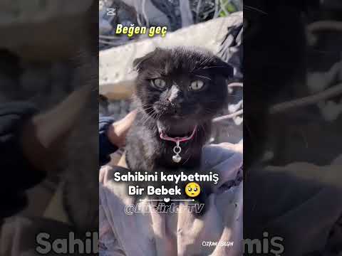 #keşfetteyiz #keşfetbeniöneçıkar #ytdayibenionecikarnolur #keşfet