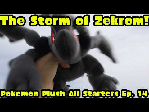 The Storm of Zekrom! | Pokemon Plush All Starters Ep. 14