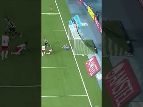 image para ilustrar o artigo