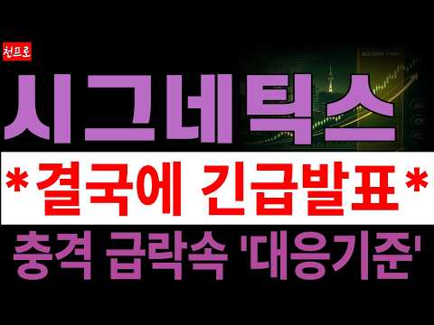 [시그네틱스 주가전망] AI 반도체 후공정 기대감에도 코스닥 급락 직격탄! 주가 무너지는 지금 반드시 지켜야 할 핵심 가격전략