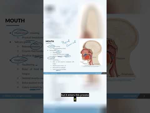 NCLEX Prep - Digestion Part 2