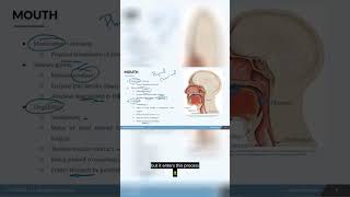 NCLEX Prep - Digestion Part 2