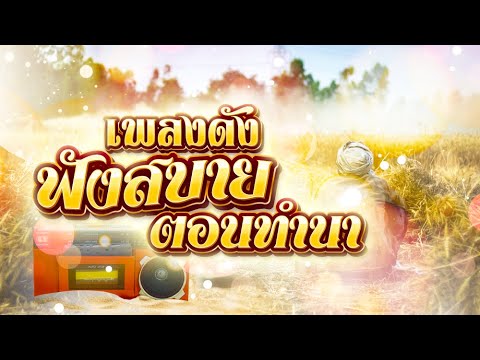 เพลงดังฟังสบาย ฟังตอนทำนา