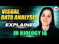 Graphing Techniques and Interpretations