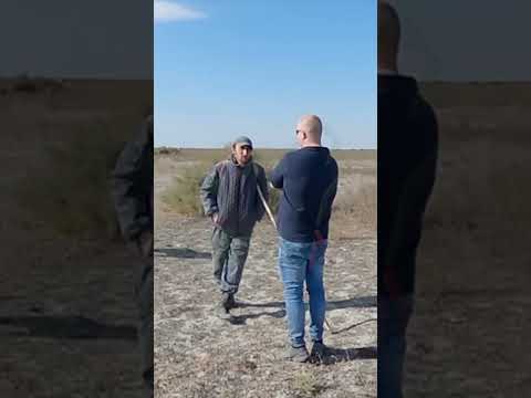 "Овчарка против волков" - пастух рассказывает про хищника