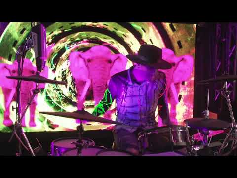 Pink Elephants On Parade live performance