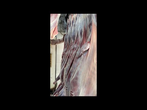 Noorani Mutton shop whole saler is live #noorani #mutton #shop #cuttingskills #live