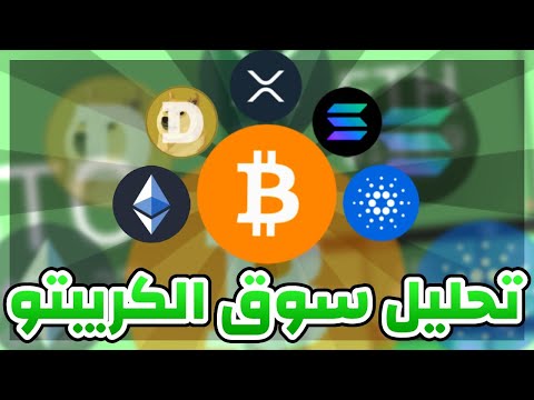 هل سيستمر الهبوط ؟ وماهو تحديث محفظة المضاربات الخاصة بي ؟