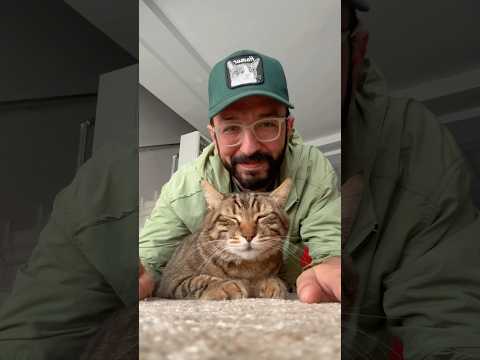 Kedi evde yalnız bırakılır mı?