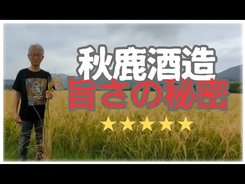 秋鹿酒造の拘り ‐ 旨さの秘密に迫る