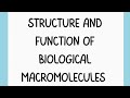 DNA and Protein Structure Concepts