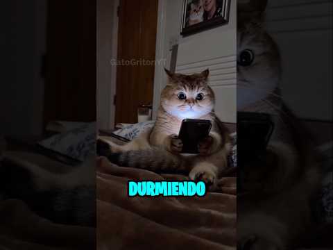 NO ESTARÁS JUGANDO EN EL TELÉFONO #parody