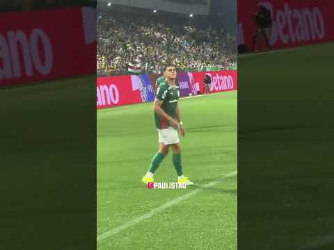 PARA O QUE? 🇵🇾