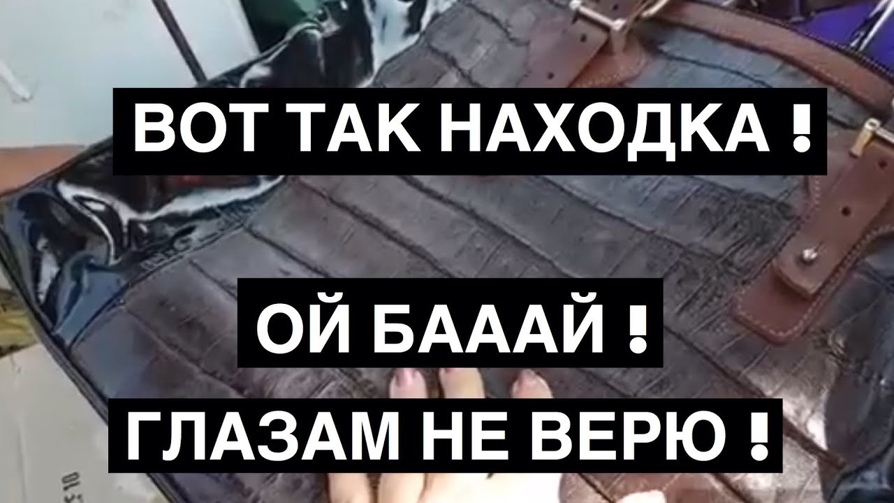 Глазам не поверила! Нашла сумку из крокодиловой кожи на свалке! Поле чудес, а не австралия