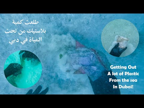 تنظيف البحر من البلاستيك في دبي cop28 l underwater cleaning in Dubai - COP28