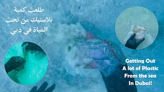 تنظيف البحر من البلاستيك في دبي cop28 l underwater cleaning in Dubai - COP28
