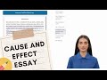 Understanding Cause and Effect Essays