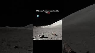 Just Kidding #fun #nasa #dog #meme #usameme