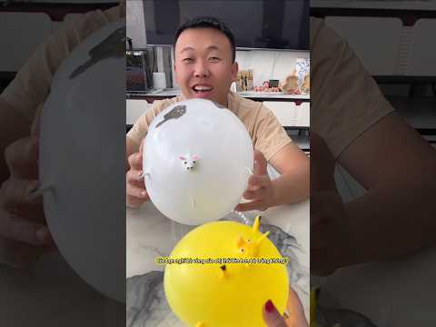 🤔🐄Các Bạn Nghĩ Bò Vàng Của Chị Thổi Lớn Hơn Bò Trắng Không? #funny