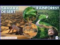Survival Challenges in Diverse Ecosystems