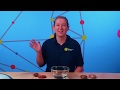 Ocean Acidification and Its Effects