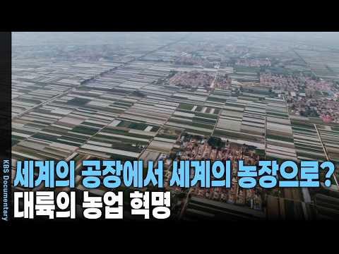 <strong>패널</strong> 아래에서 돼지와 야채를 기르는 곳의 정체 | KBS 시사기획 창 20161227 <strong>방송</strong>