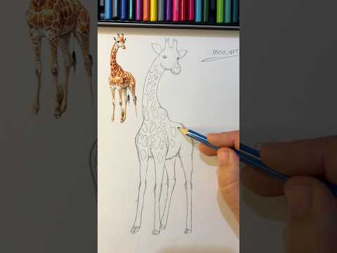 كيف رسم زرافة بأقلام رصاص بكل سهولة!؟ #drawing #art #رسم