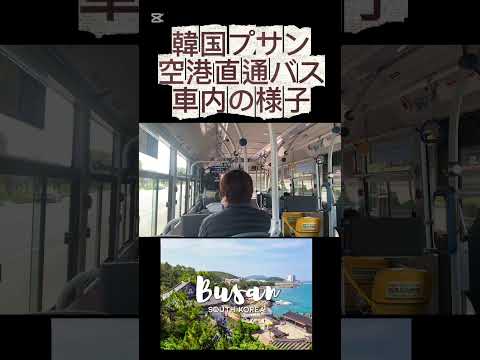 【韓国プサン空港直通バス(市内307号)車内の様子】(鈴木ショート421) #釜山 #金海空港 #バス