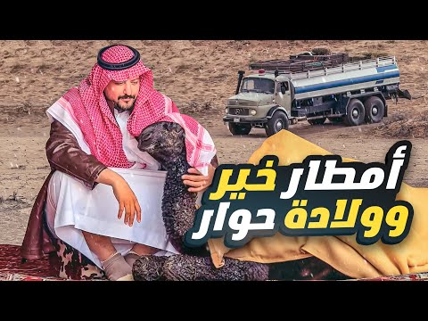 أمطار خير وولادة حوار في مكشاتنا في الشمال