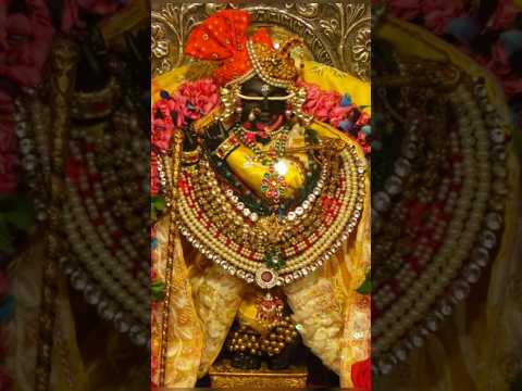 बोलो वृंदावन श्री बांकेबिहारी लाल की जय #virdavan #bankebihari #shorts#video