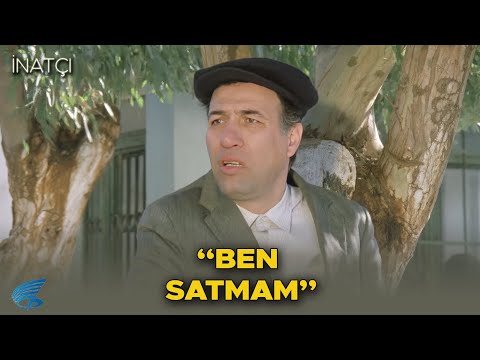 İnatçı Türk Filmi | Bayram, Tarlasını Satmıyor