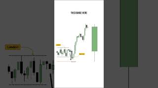 NY Manipulation: A Daily Profile Breakdown