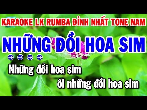 Karaoke Liên Khúc Tone Nam Nhạc Sống Dễ Ca | Những Đồi Hoa Sim – Chỉ Có Bạn Bè Thôi | Thanh Hải