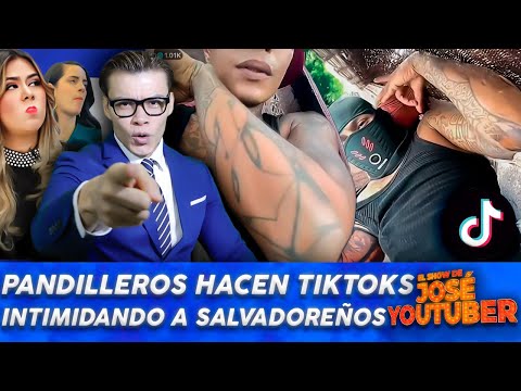 ¡SALIERON DE LAS CLOACAS! PANDILLEROS PRESUMEN ESTAR LIBRES EN TIKTOK