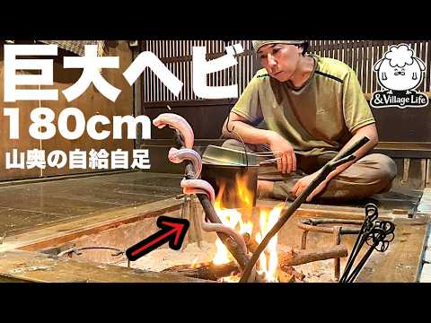究極の自給自足。野生の巨大ヘビを食す【山奥暮らし】